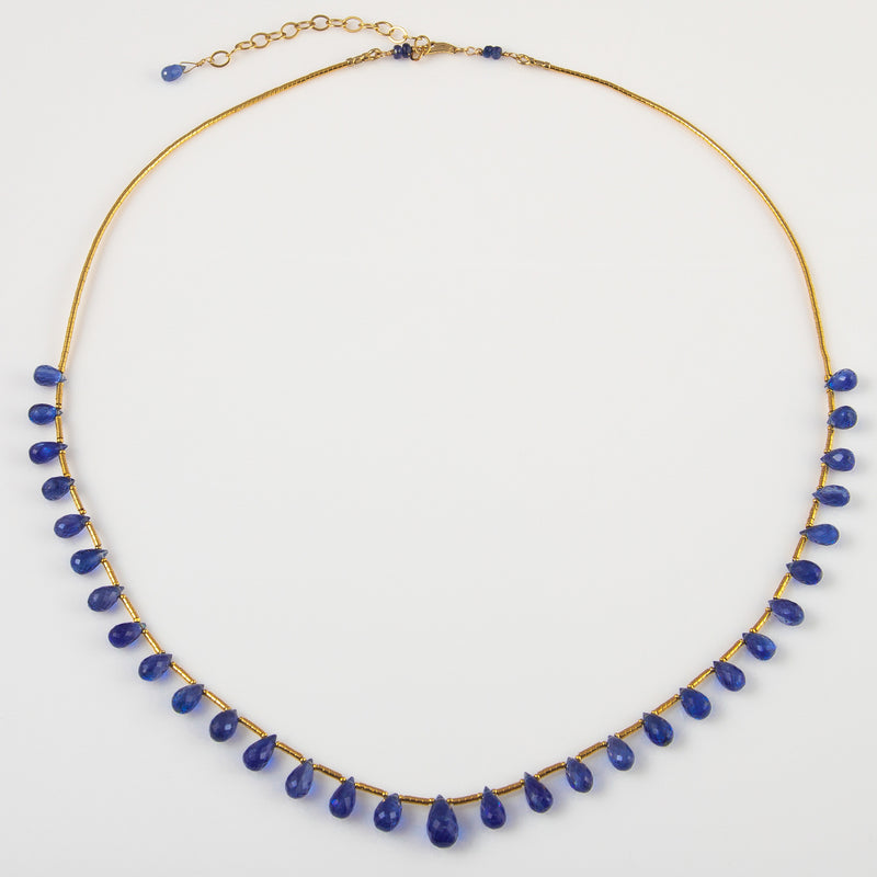 Robin Kyanite & 14k Gold Necklace