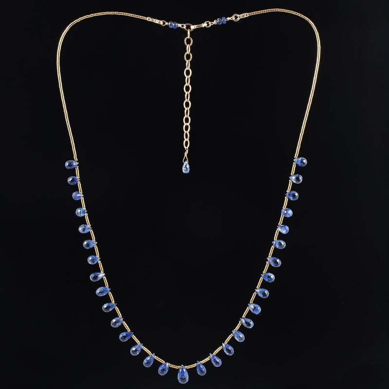 Robin Kyanite & 14k Gold Necklace