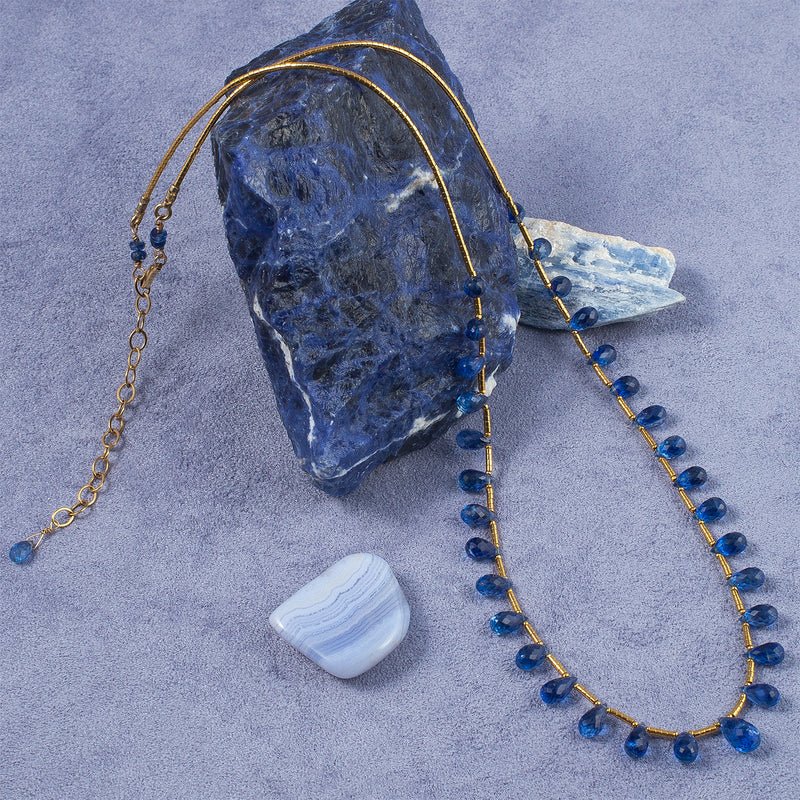 Robin Kyanite & 14k Gold Necklace