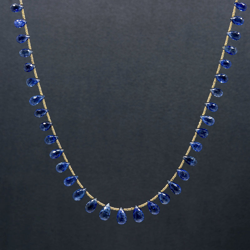 Arabella Kyanite Briolette & 14k Gold Necklace