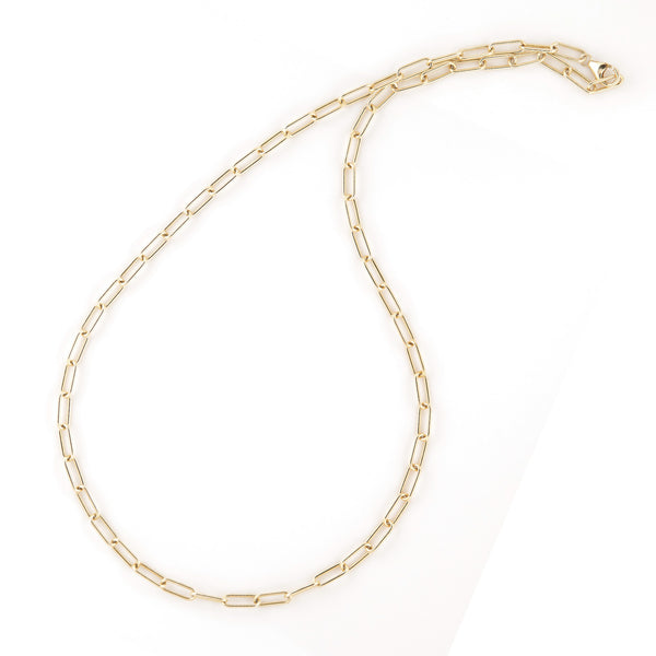 Amber Long Gold Link Chain