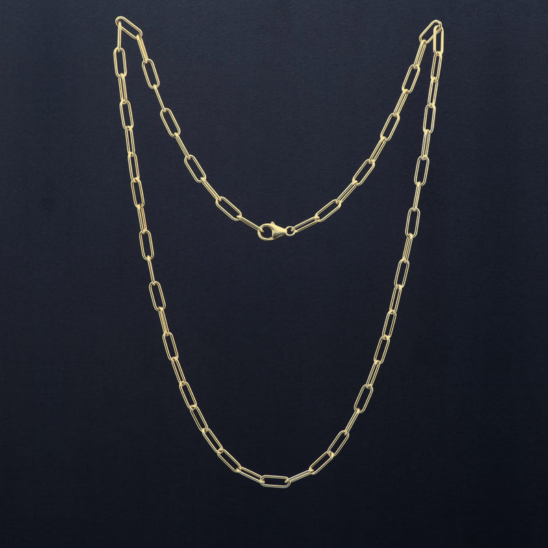 Amber Long Gold Link Chain