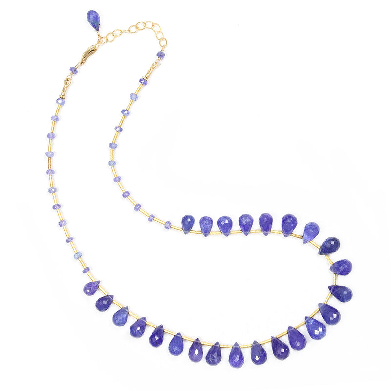 Rebecca Tanzanite Briolette & 14K Gold Necklace